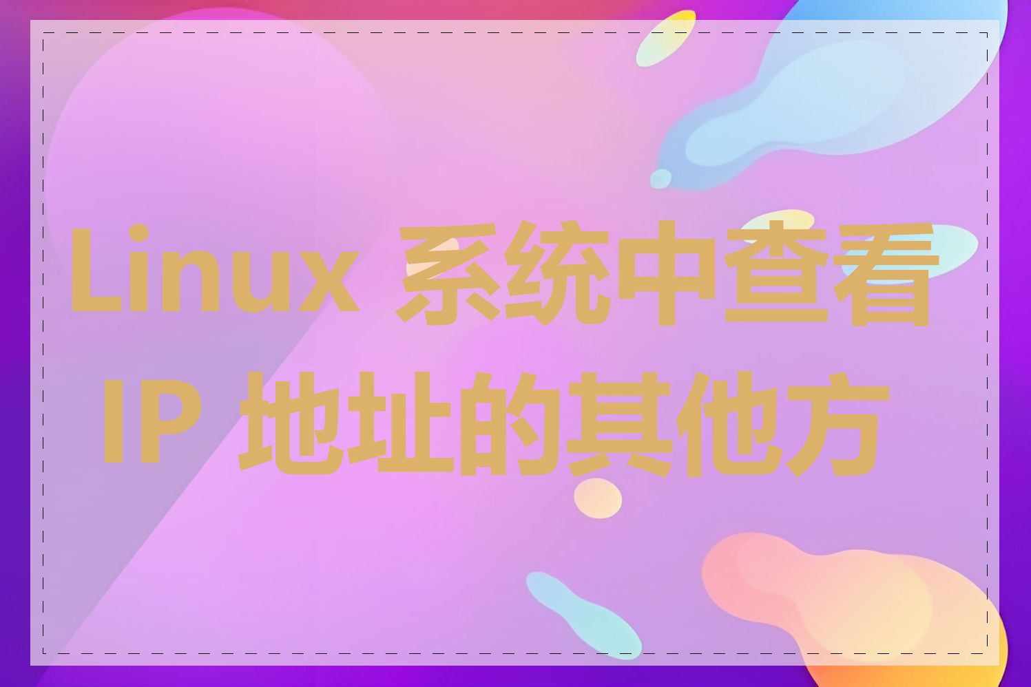 Linux 系统中查看 IP 地址的其他方法