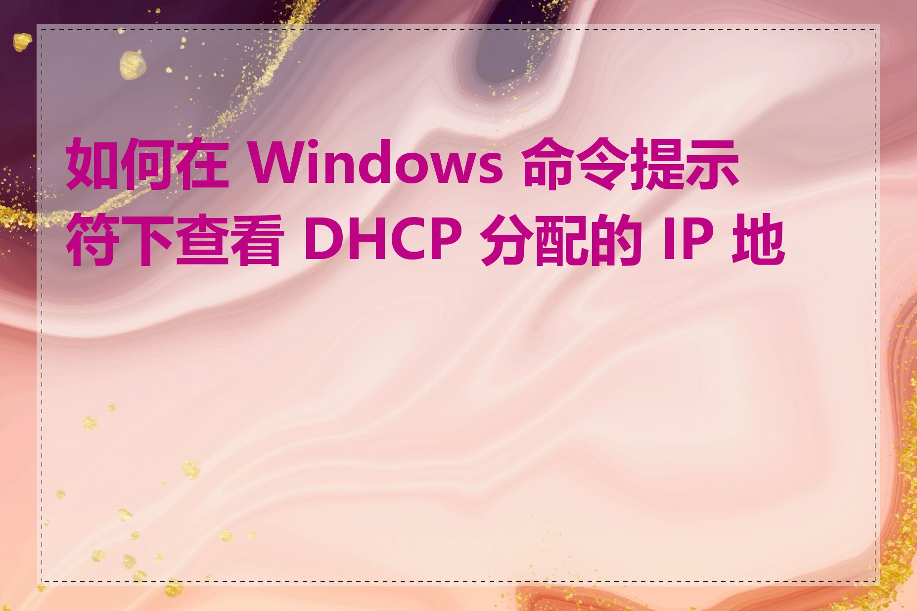 如何在 Windows 命令提示符下查看 DHCP 分配的 IP 地址