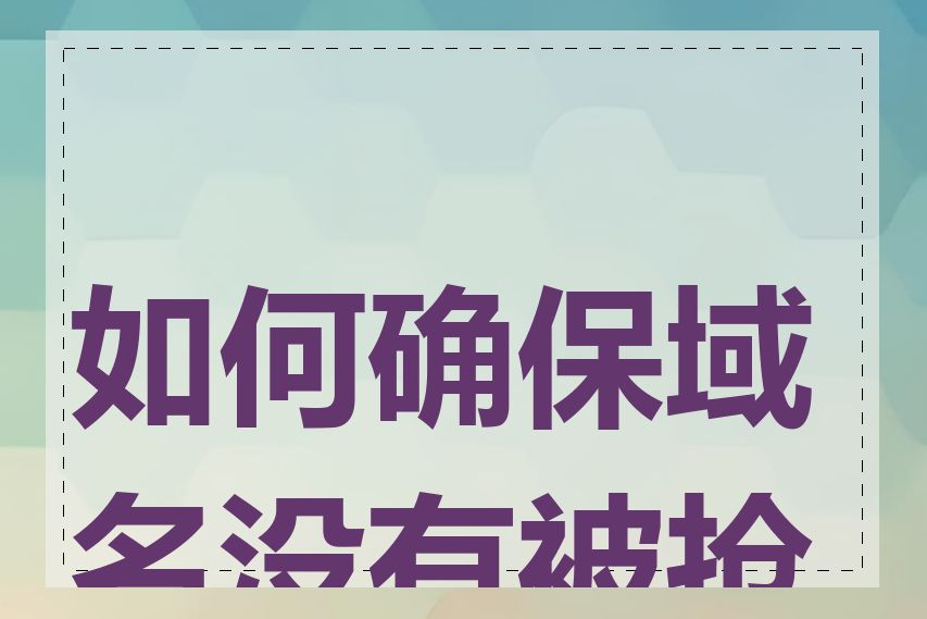 如何确保域名没有被抢注