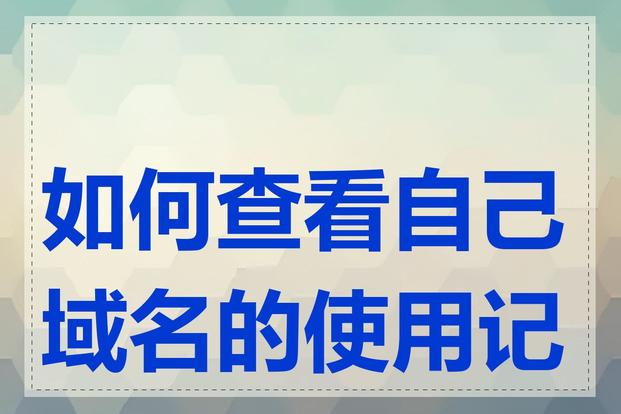 如何查看自己域名的使用记录