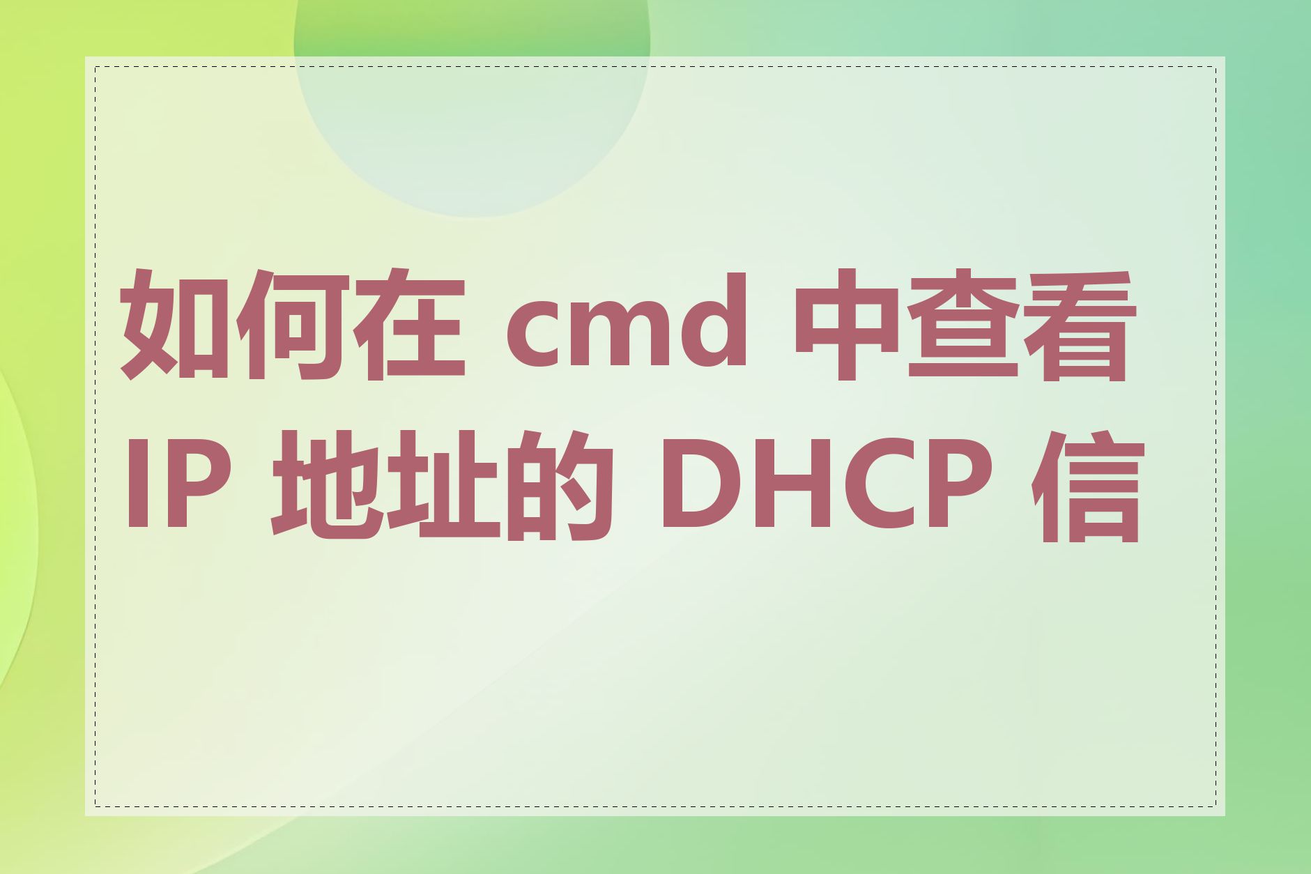 如何在 cmd 中查看 IP 地址的 DHCP 信息