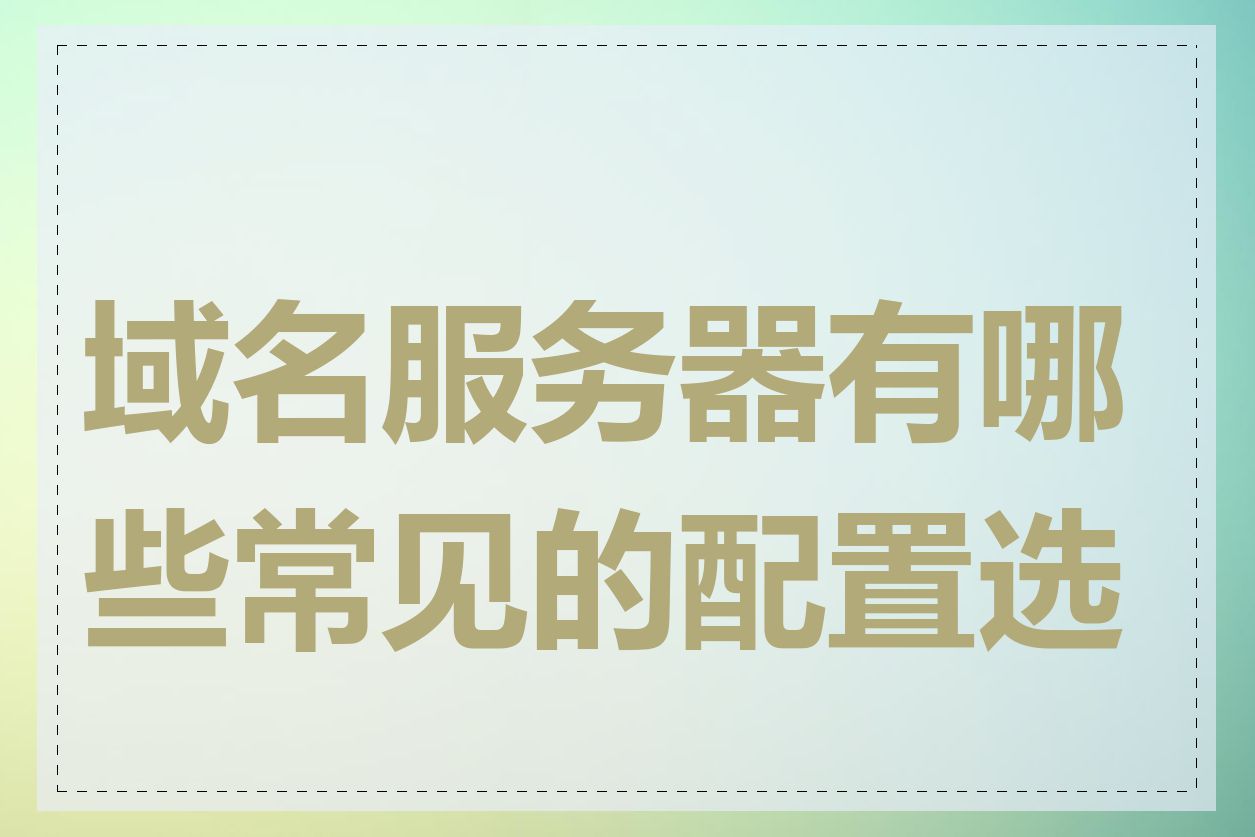 域名服务器有哪些常见的配置选项