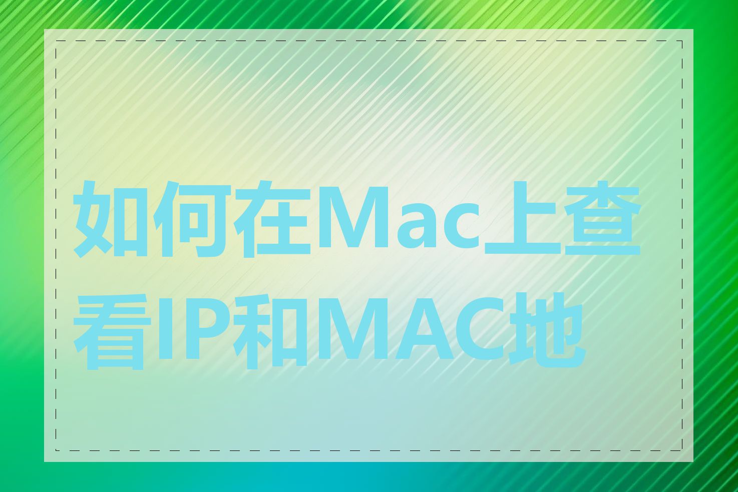 如何在Mac上查看IP和MAC地址