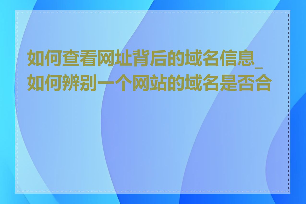 如何查看网址背后的域名信息_如何辨别一个网站的域名是否合法