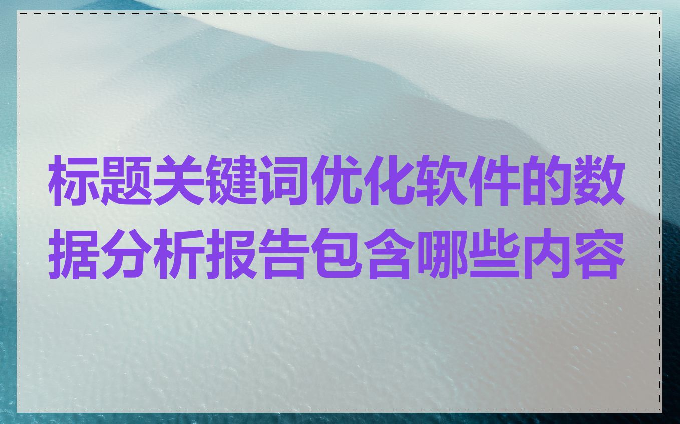 标题关键词优化软件的数据分析报告包含哪些内容