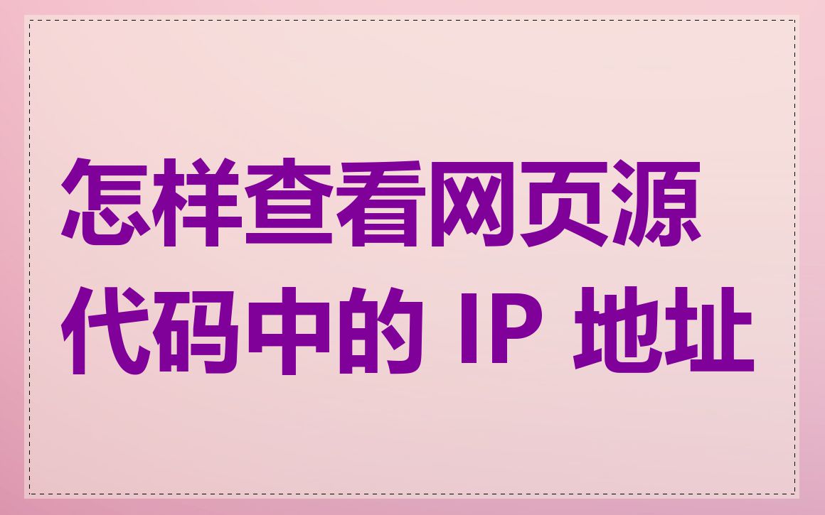 怎样查看网页源代码中的 IP 地址