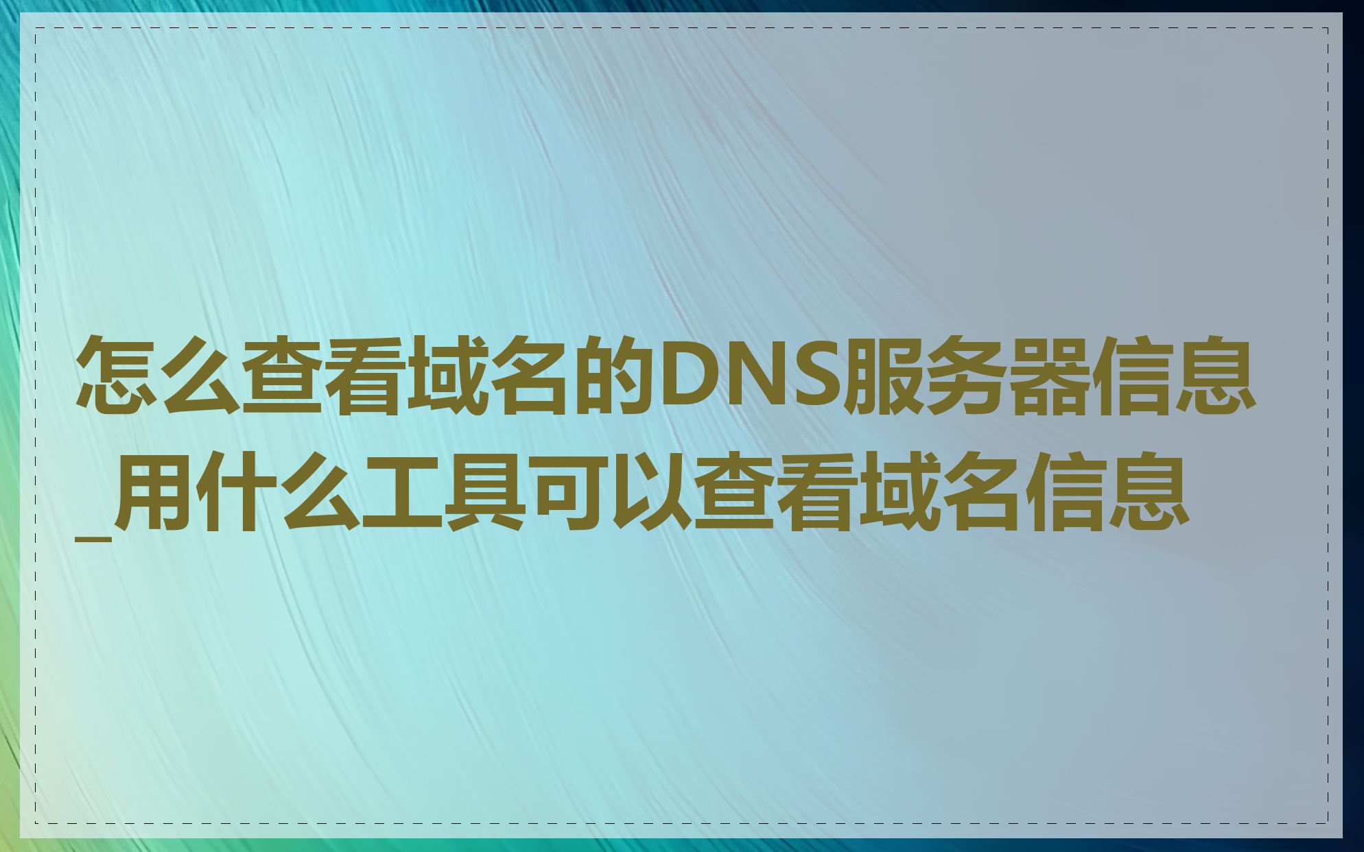 怎么查看域名的DNS服务器信息_用什么工具可以查看域名信息