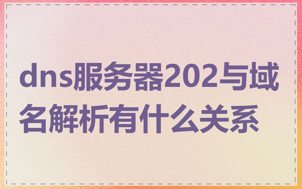 dns服务器202与域名解析有什么关系