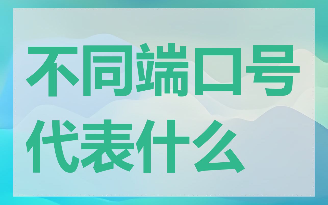 不同端口号代表什么