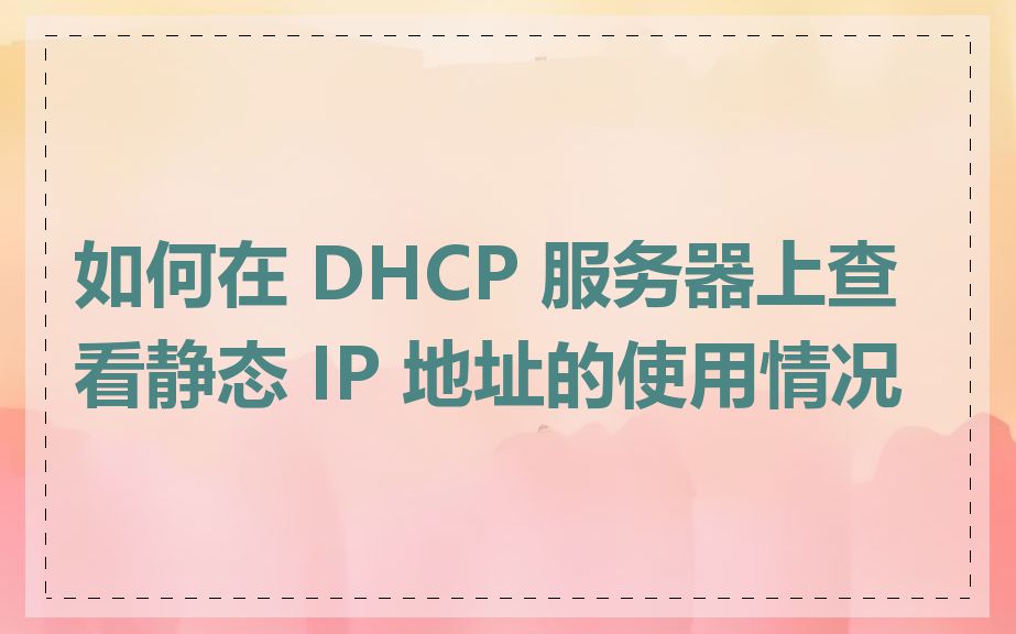 如何在 DHCP 服务器上查看静态 IP 地址的使用情况