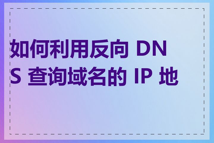 如何利用反向 DNS 查询域名的 IP 地址