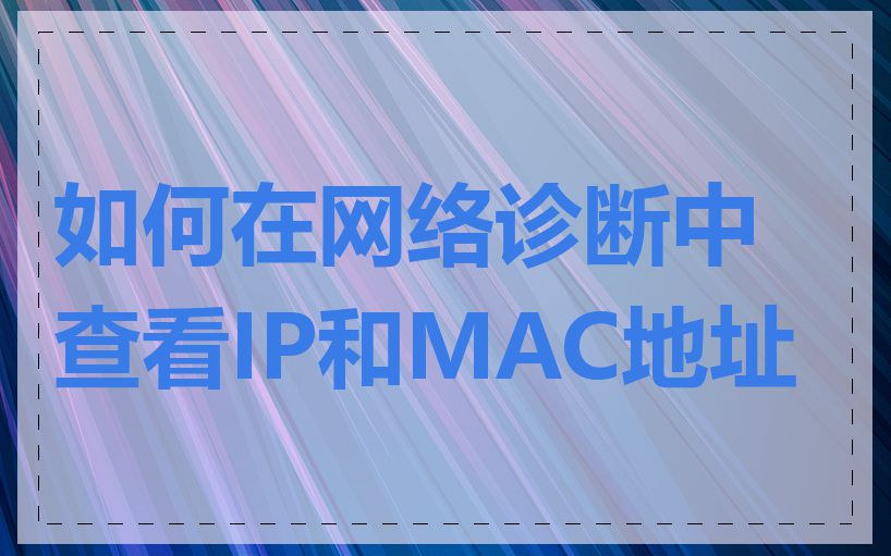 如何在网络诊断中查看IP和MAC地址