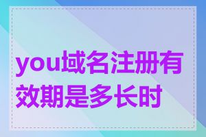 you域名注册有效期是多长时间