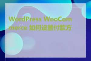 WordPress WooCommerce 如何设置付款方式