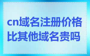 cn域名注册价格比其他域名贵吗