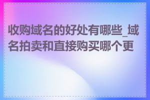 收购域名的好处有哪些_域名拍卖和直接购买哪个更优