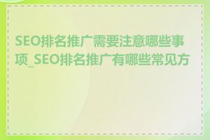 SEO排名推广需要注意哪些事项_SEO排名推广有哪些常见方法