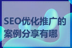 SEO优化推广的案例分享有哪些