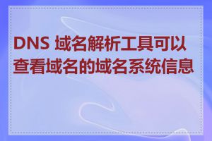 DNS 域名解析工具可以查看域名的域名系统信息吗