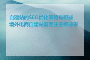 自建站的SEO优化策略有哪些_境外电商自建站需要注意哪些事项