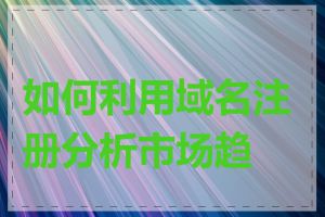 如何利用域名注册分析市场趋势