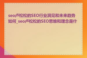 seo卢松松的SEO行业洞见和未来趋势如何_seo卢松松的SEO思维和理念是什么