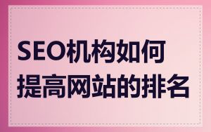 SEO机构如何提高网站的排名