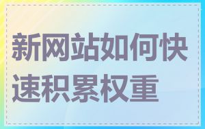 新网站如何快速积累权重