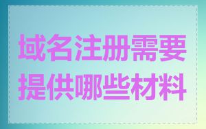 域名注册需要提供哪些材料