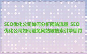 SEO优化公司如何分析网站流量_SEO优化公司如何避免网站被搜索引擎惩罚