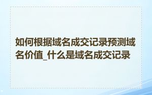 如何根据域名成交记录预测域名价值_什么是域名成交记录