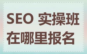 SEO 实操班在哪里报名