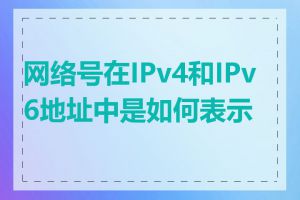 网络号在IPv4和IPv6地址中是如何表示的