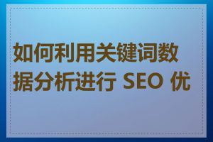 如何利用关键词数据分析进行 SEO 优化