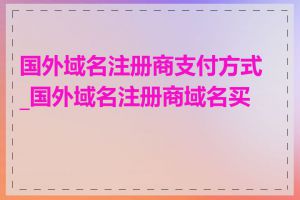 国外域名注册商支付方式_国外域名注册商域名买卖