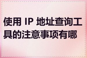 使用 IP 地址查询工具的注意事项有哪些