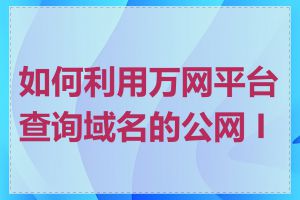 如何利用万网平台查询域名的公网 IP