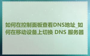 如何在控制面板查看DNS地址_如何在移动设备上切换 DNS 服务器