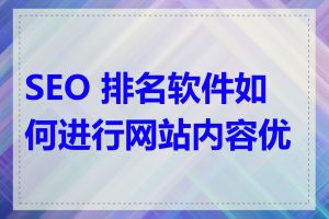 SEO 排名软件如何进行网站内容优化