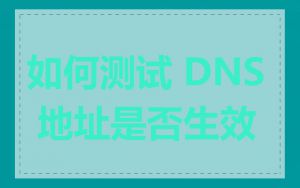 如何测试 DNS 地址是否生效