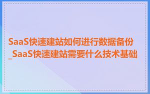 SaaS快速建站如何进行数据备份_SaaS快速建站需要什么技术基础