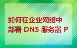 如何在企业网络中部署 DNS 服务器 P