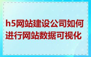 h5网站建设公司如何进行网站数据可视化