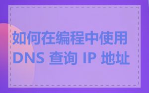 如何在编程中使用 DNS 查询 IP 地址