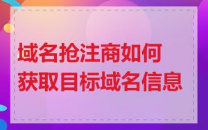 域名抢注商如何获取目标域名信息