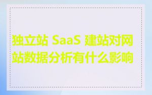 独立站 SaaS 建站对网站数据分析有什么影响