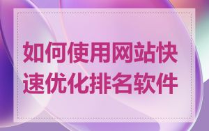 如何使用网站快速优化排名软件