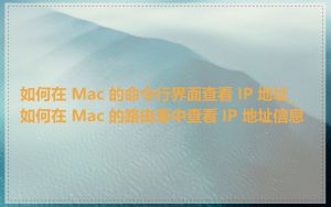 如何在 Mac 的命令行界面查看 IP 地址_如何在 Mac 的路由表中查看 IP 地址信息
