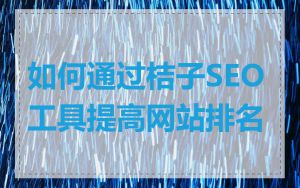 如何通过桔子SEO工具提高网站排名