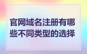 官网域名注册有哪些不同类型的选择